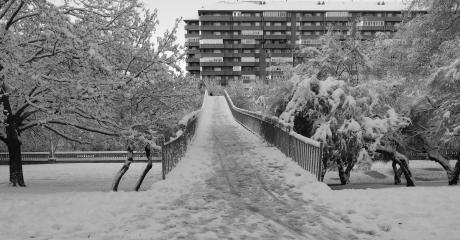 PASARELA DEL Pº DE LA CONDESA